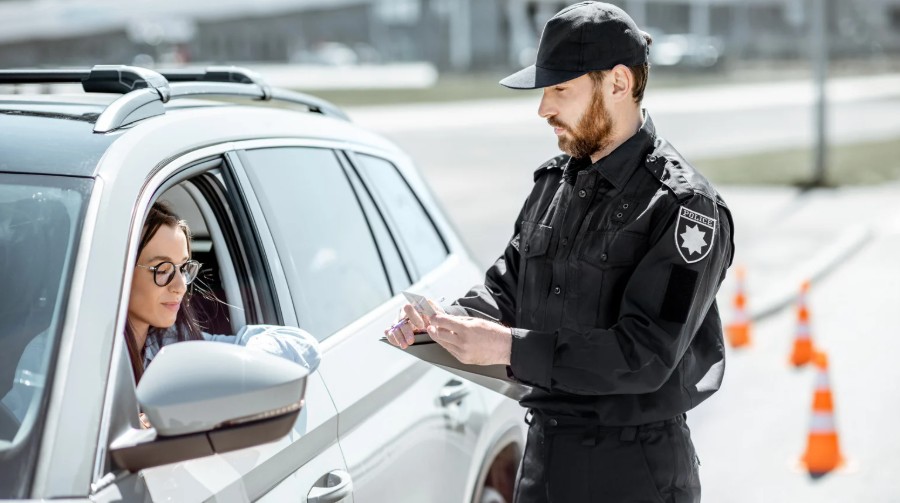 dubai police case status check